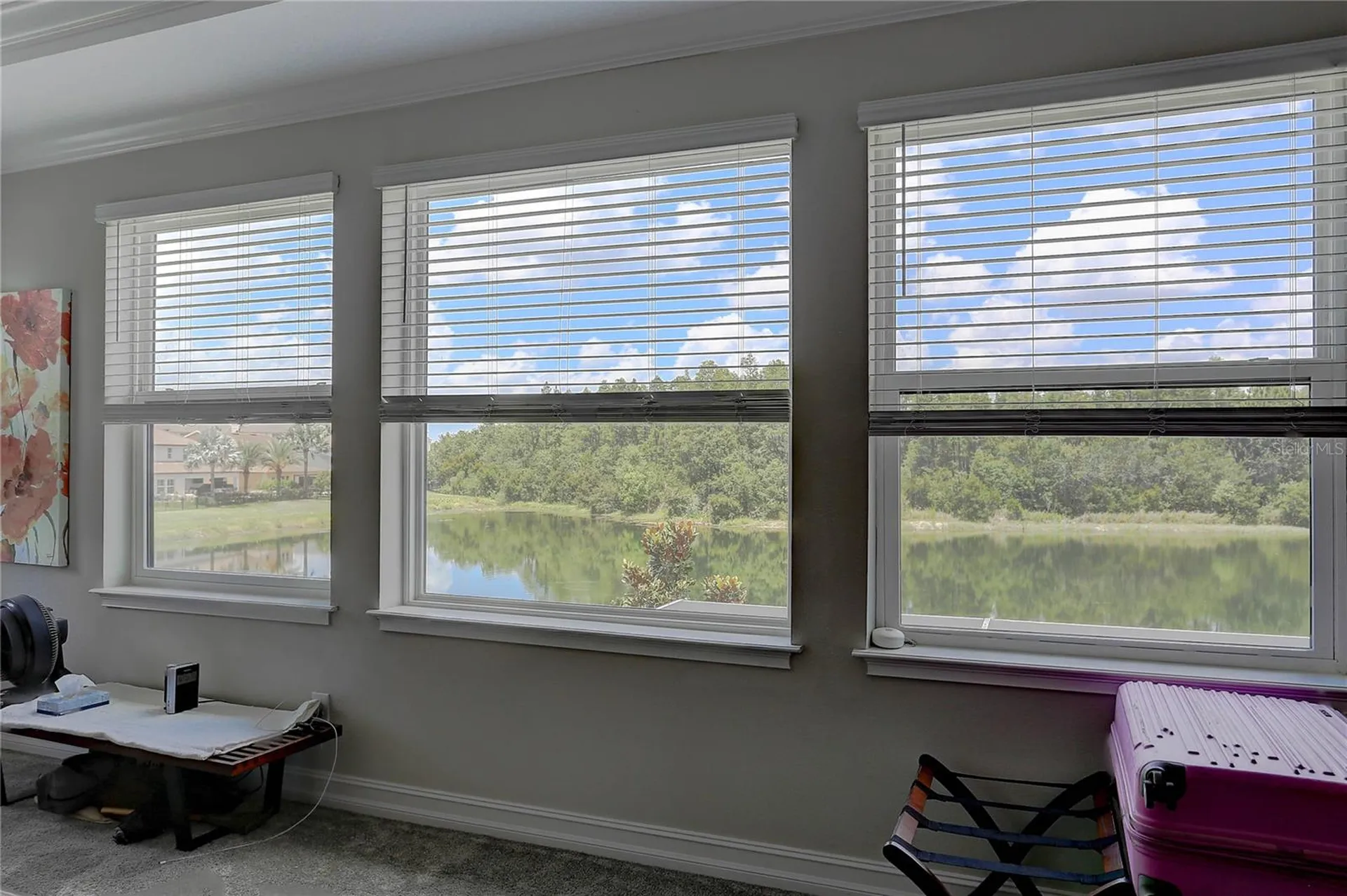 18014 Woodland View Drive Lutz FL 33548