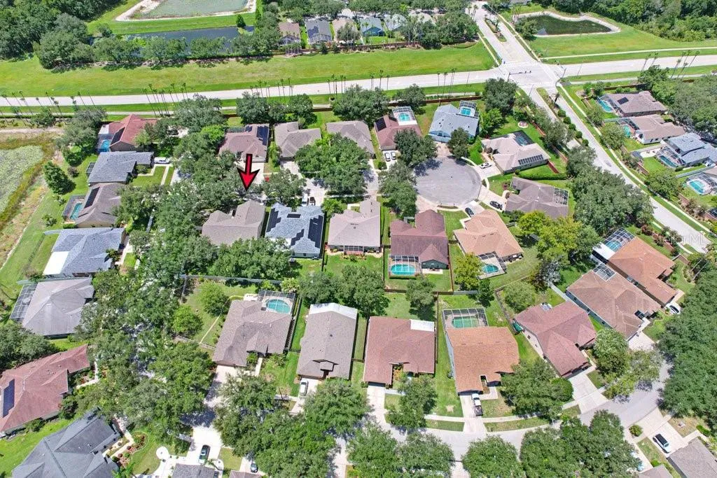 8612 Swann Ridge Court Tampa FL 33647
