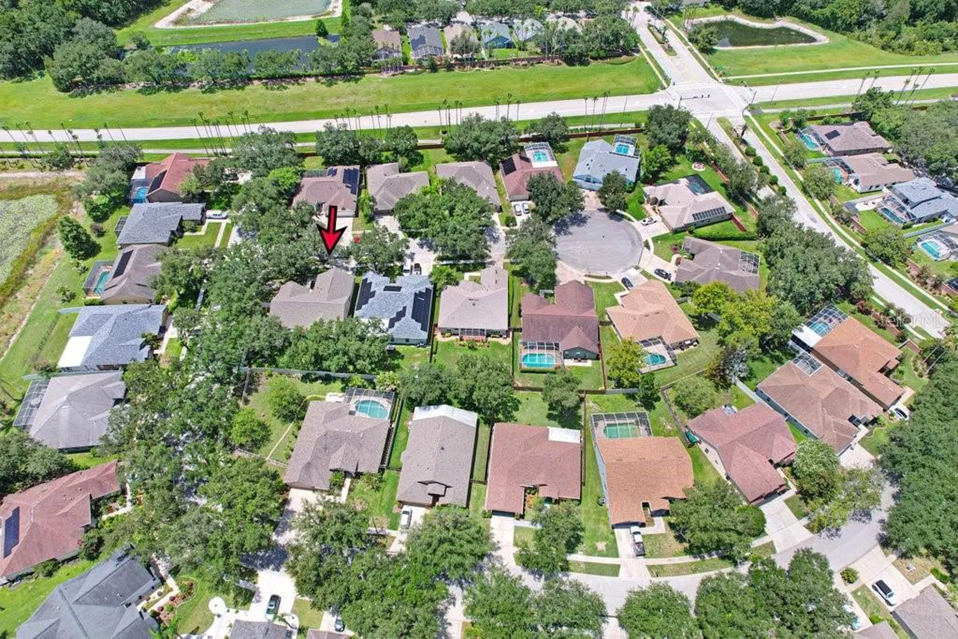 8612 Swann Ridge Court Tampa FL 33647
