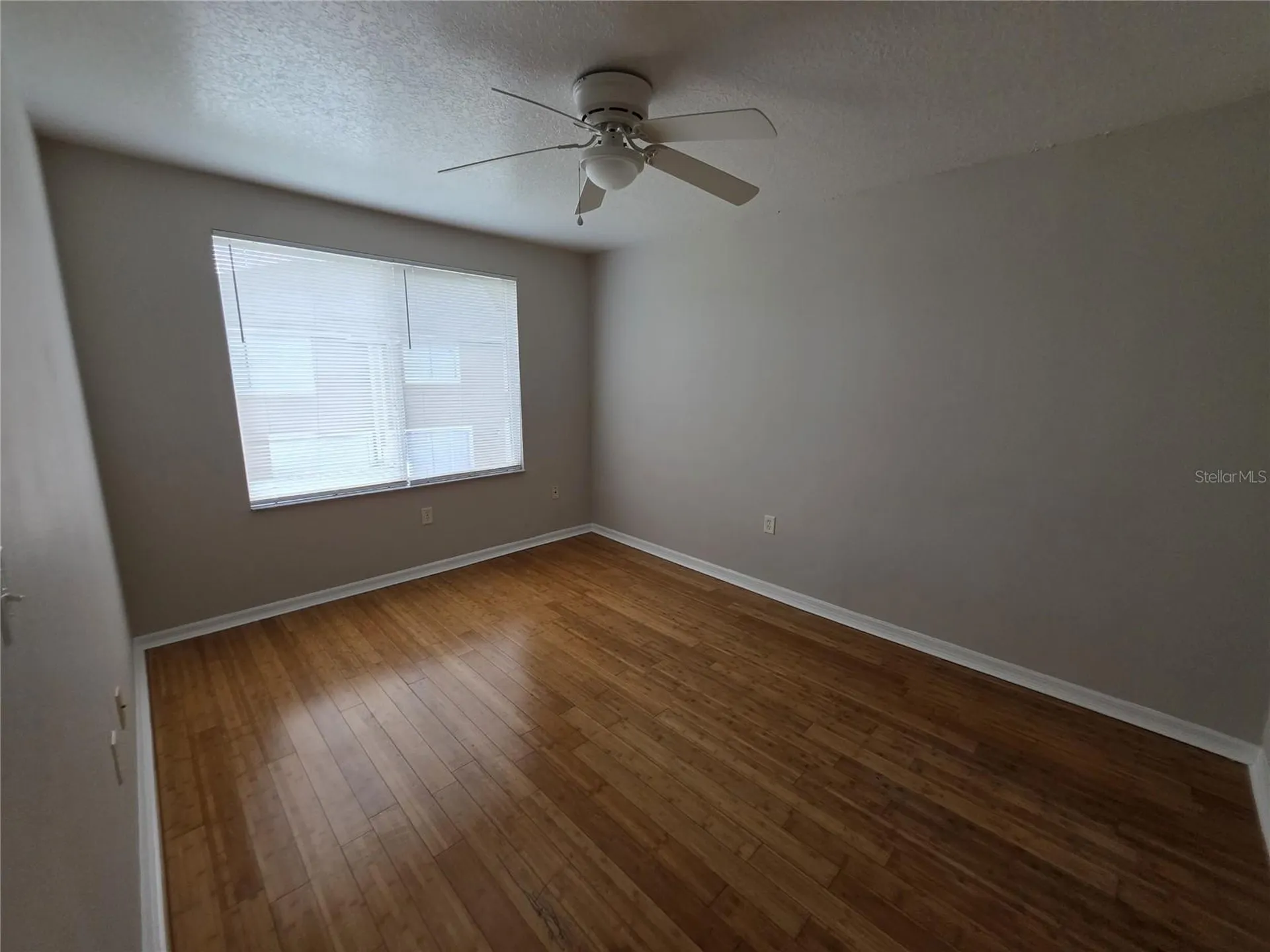 2419 Fan Palm Drive Davenport FL 33897