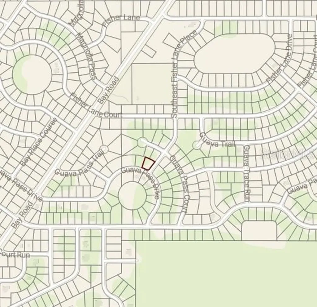 Blk 1261 Lot 16 SE Fisher Lane Place Ocklawaha FL 32179