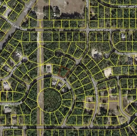 Blk 1261 Lot 16 SE Fisher Lane Place Ocklawaha FL 32179