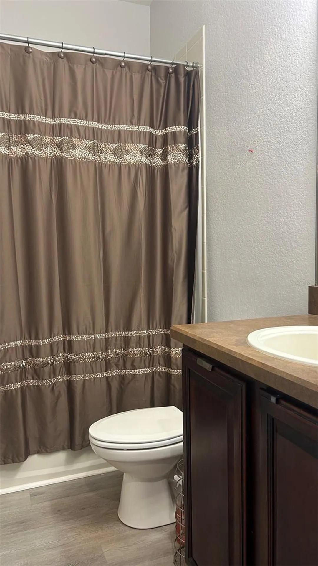 17334 Promenade Drive Clermont FL 34711
