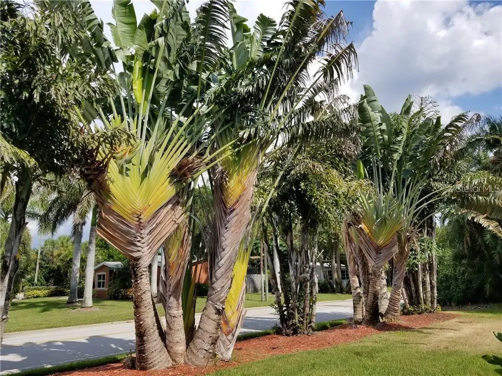 4000 Belle Vista Drive St Petersburg FL 33706