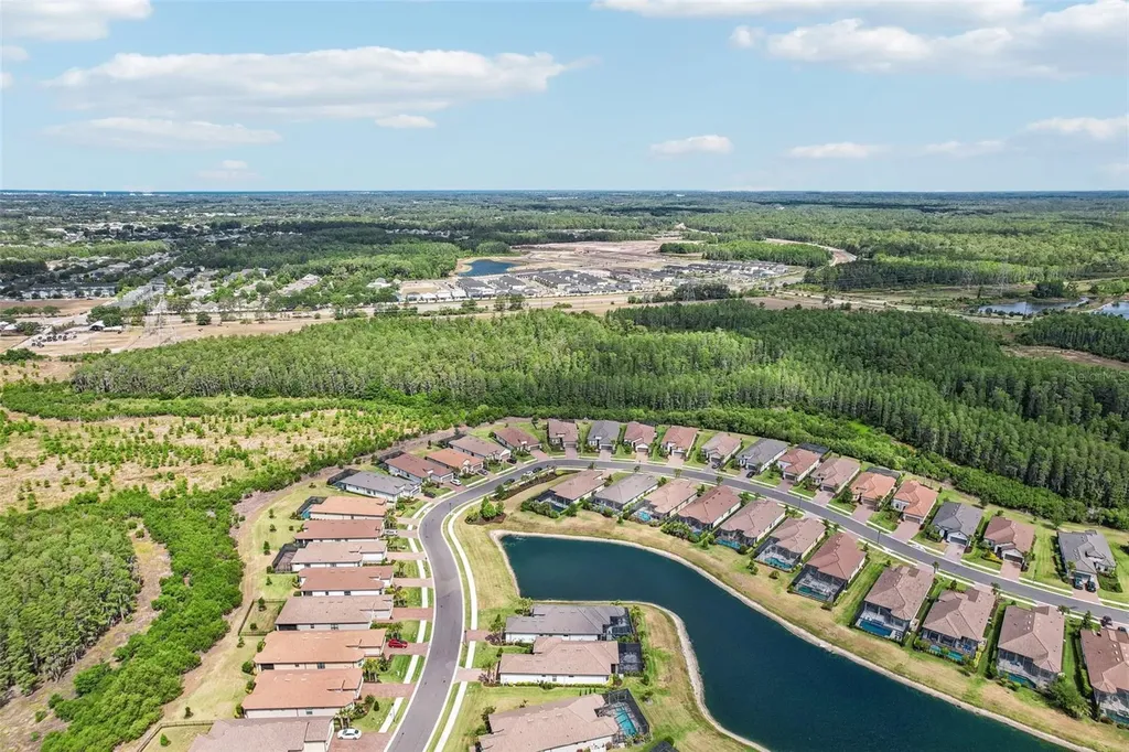10834 Calluna Drive Odessa FL 33556
