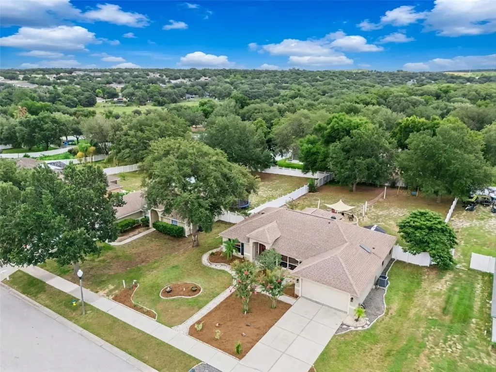 1115 Lakeview Oaks Drive Minneola FL 34715
