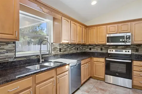 1115 Lakeview Oaks Drive Minneola FL 34715