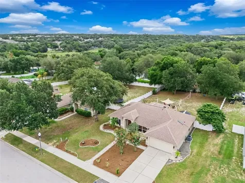 1115 Lakeview Oaks Drive Minneola FL 34715