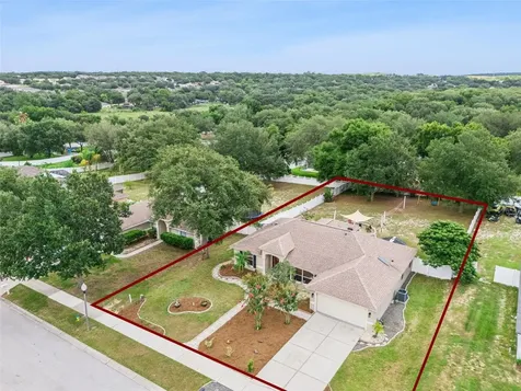 1115 Lakeview Oaks Drive Minneola FL 34715