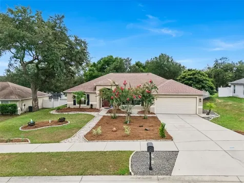 1115 Lakeview Oaks Drive Minneola FL 34715
