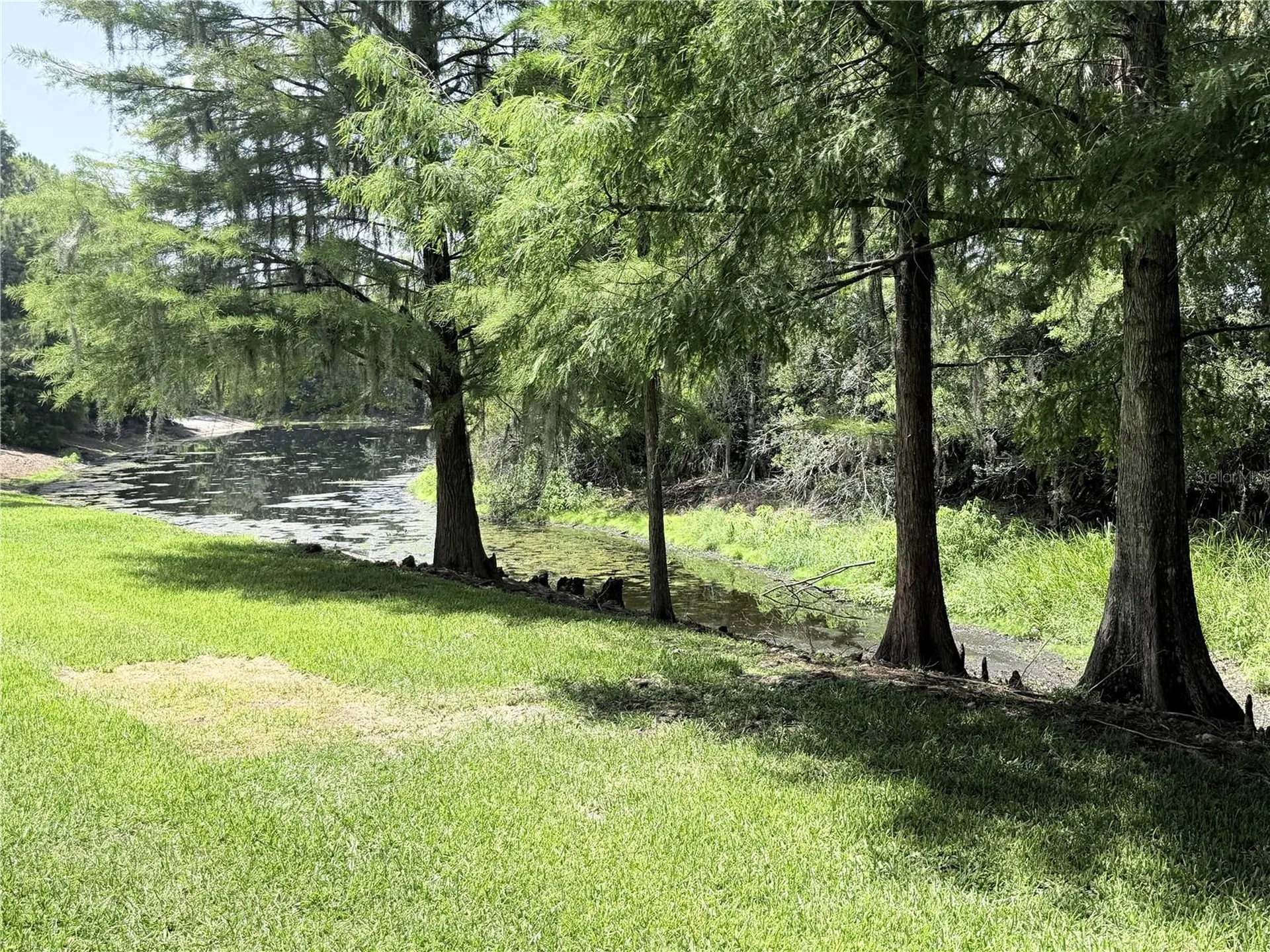 4968 Ebensburg Drive Tampa FL 33647