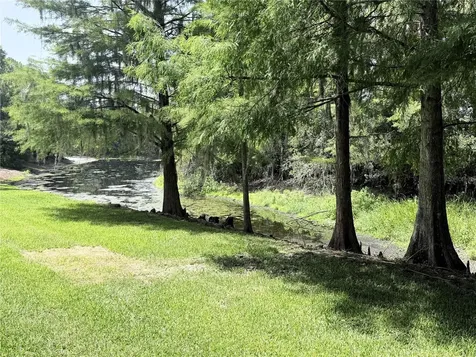4968 Ebensburg Drive Tampa FL 33647