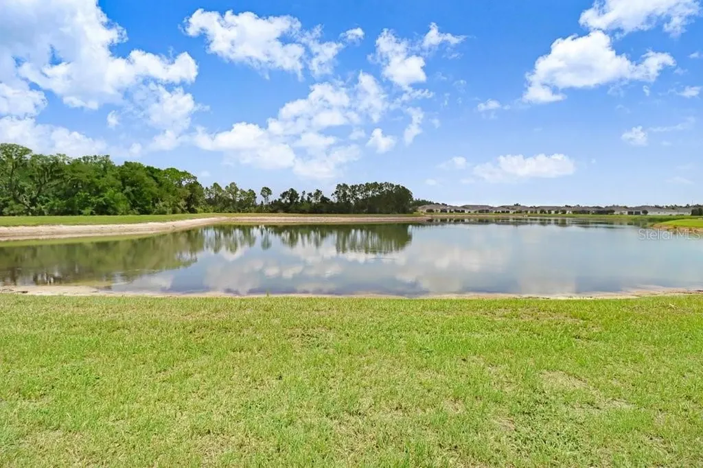 11520 Blue Woods Drive Riverview FL 33569