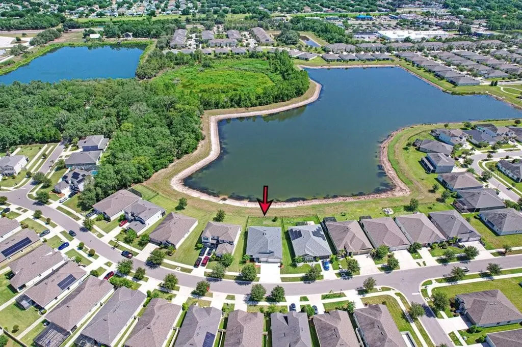 11520 Blue Woods Drive Riverview FL 33569
