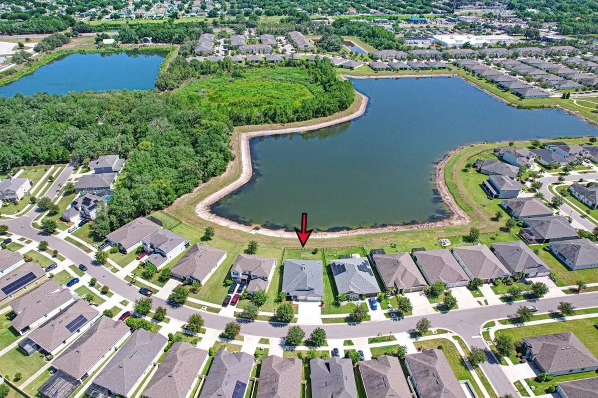 11520 Blue Woods Drive Riverview FL 33569