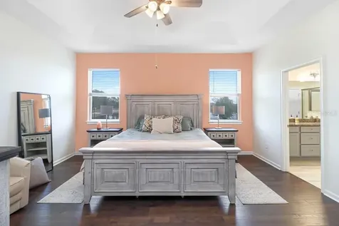 11520 Blue Woods Drive Riverview FL 33569