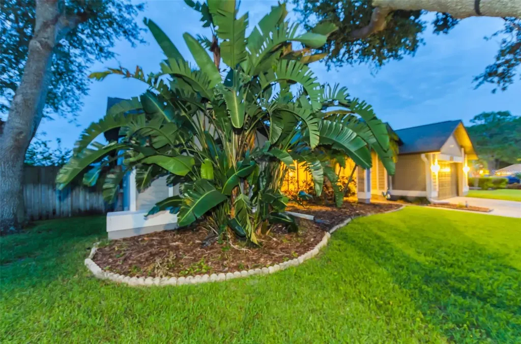 5441 Worthington Loop Palm Harbor FL 34685