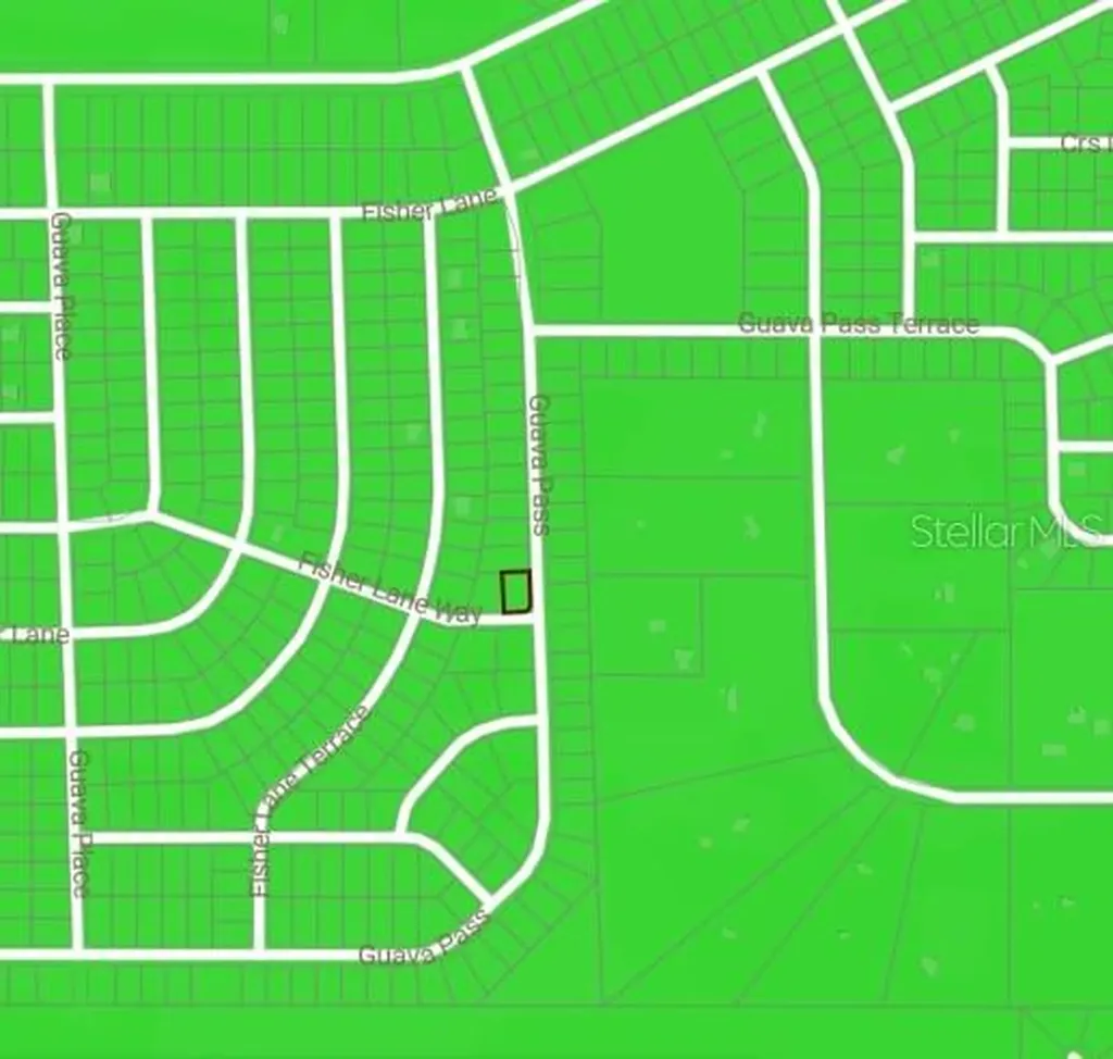 Blk 1222 Lot 14 Fisher Lane Way Ocklawaha FL 32179