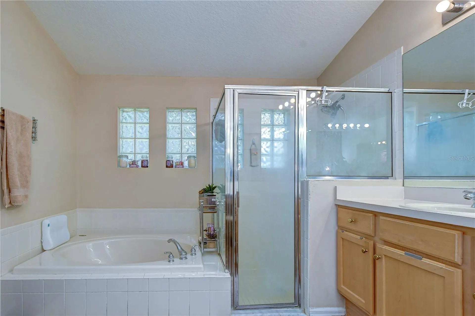 9244 Brindlewood Drive Odessa FL 33556