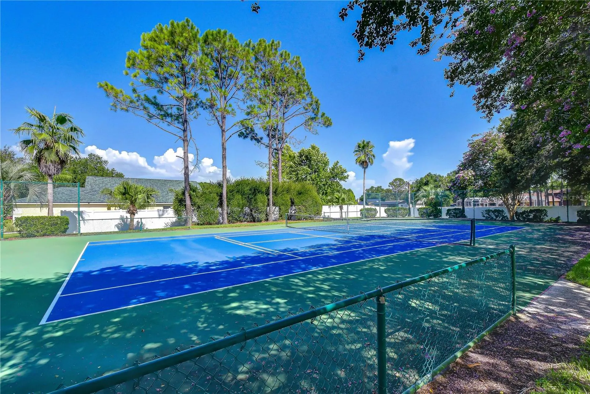 9244 Brindlewood Drive Odessa FL 33556
