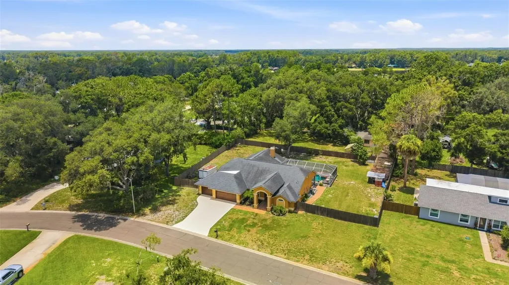 19906 Jodi Drive Lutz FL 33558