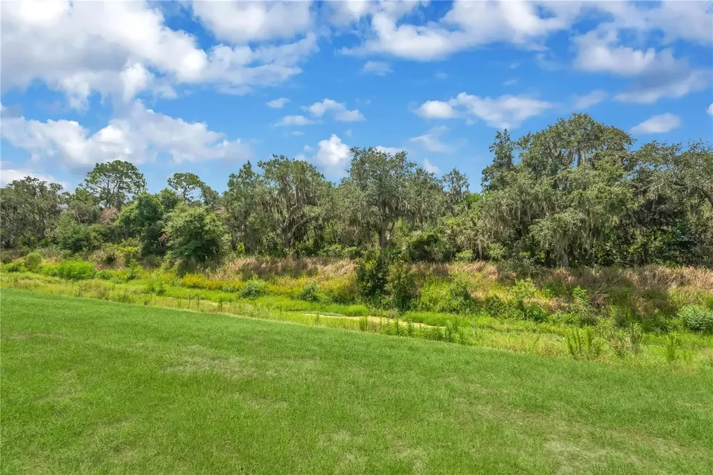 3142 Marine Grass Drive Wimauma FL 33598