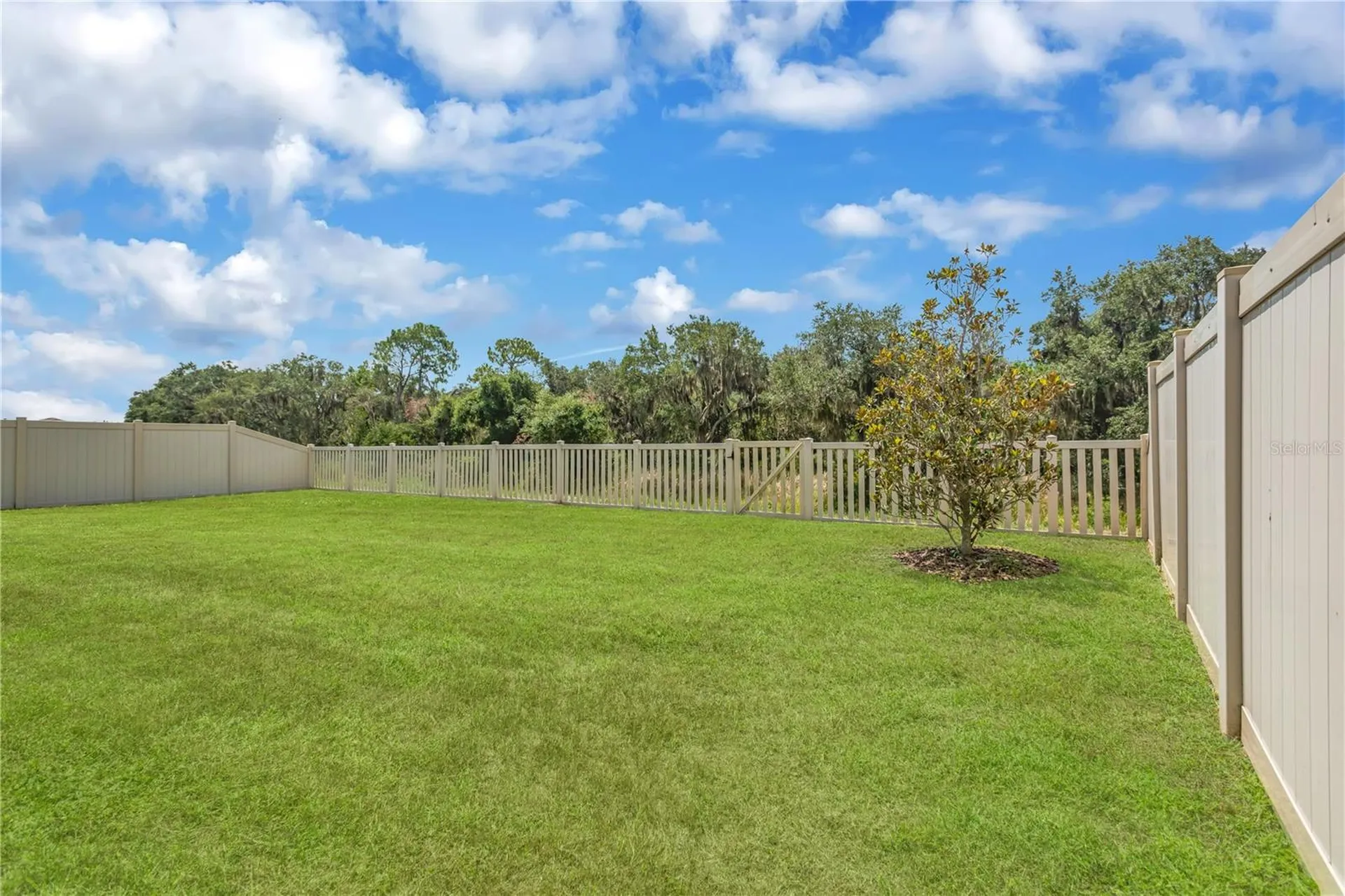 3142 Marine Grass Drive Wimauma FL 33598