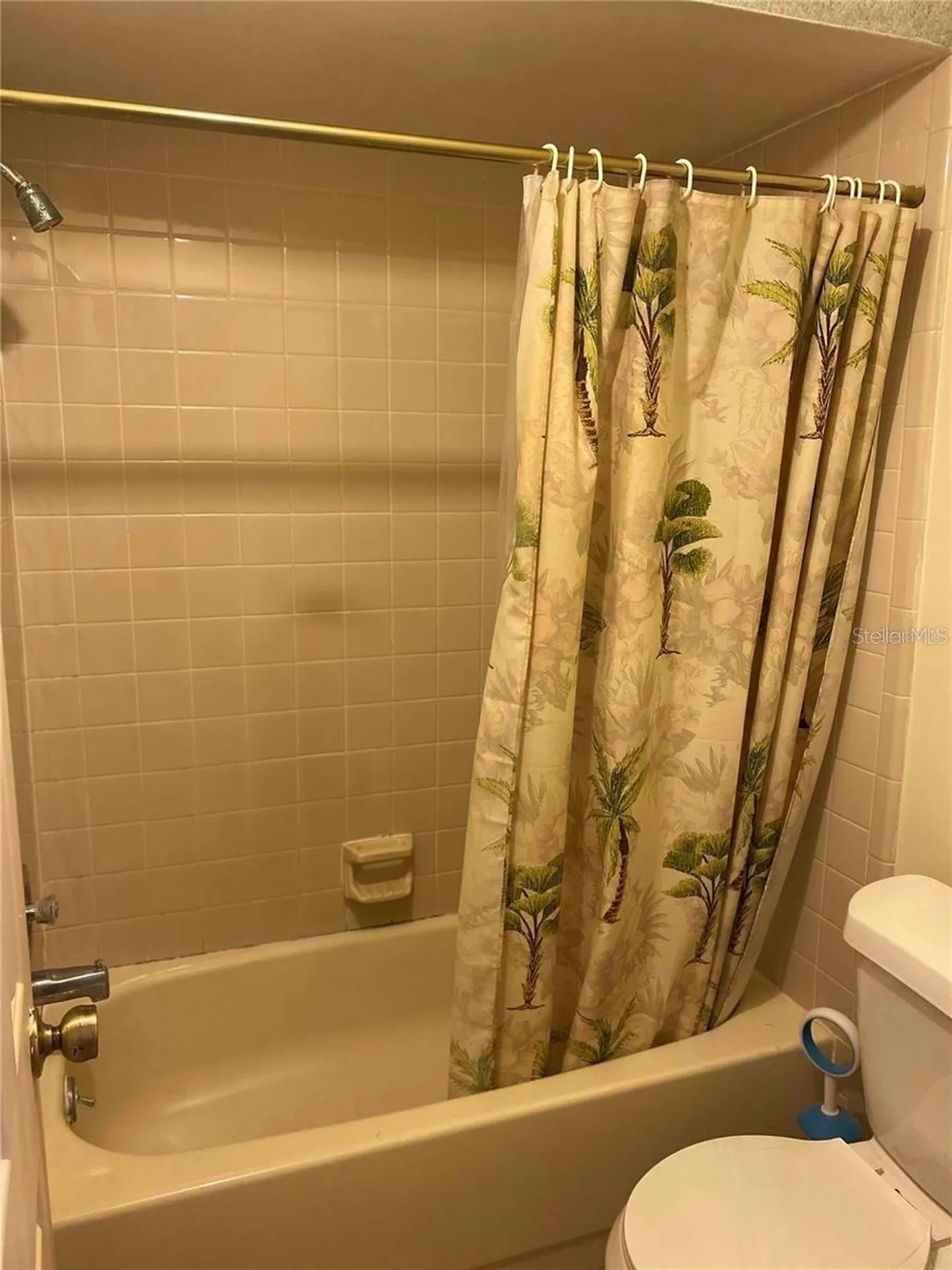 2342 Aruba Court Kissimmee FL 34741