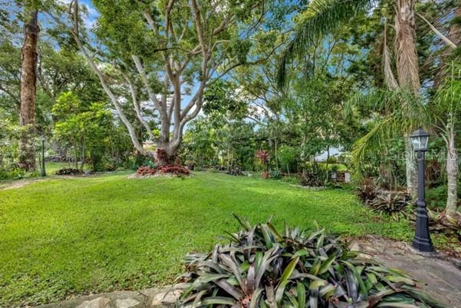 133 Stafford Circle Palm Harbor FL 34684