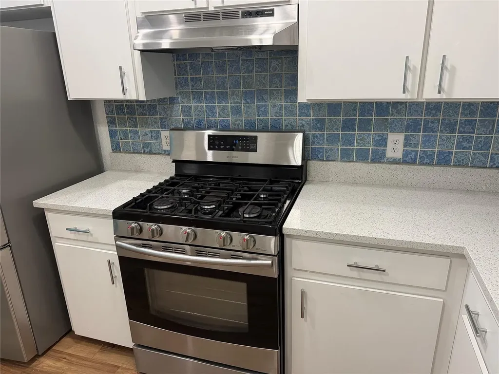 21542 Clubside Loop Lutz FL 33549