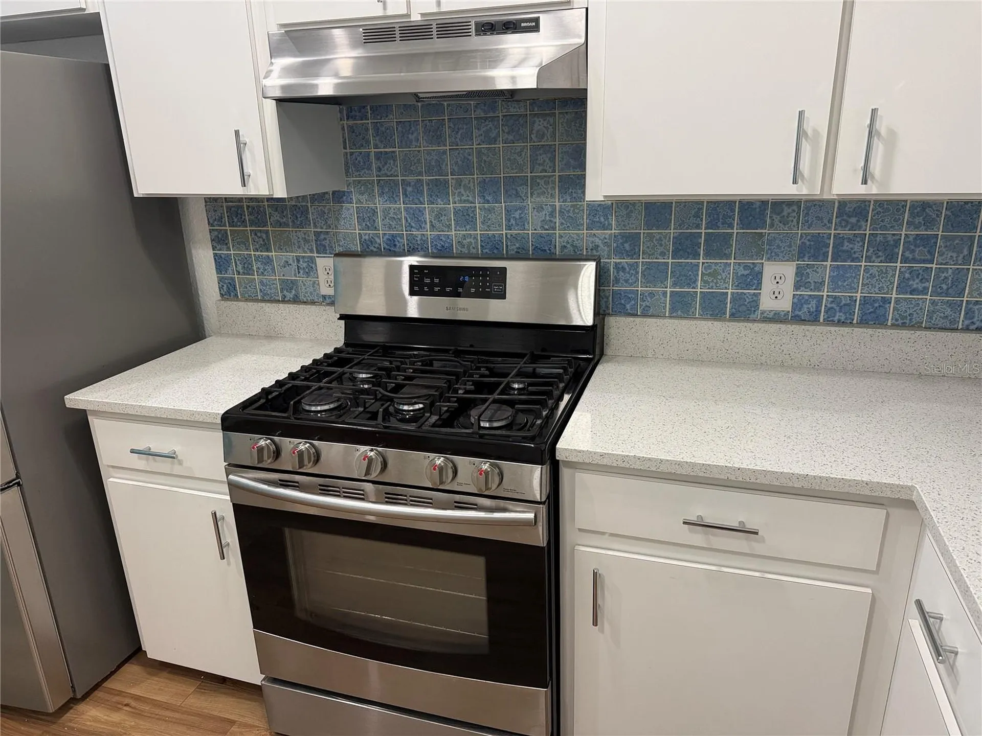 21542 Clubside Loop Lutz FL 33549
