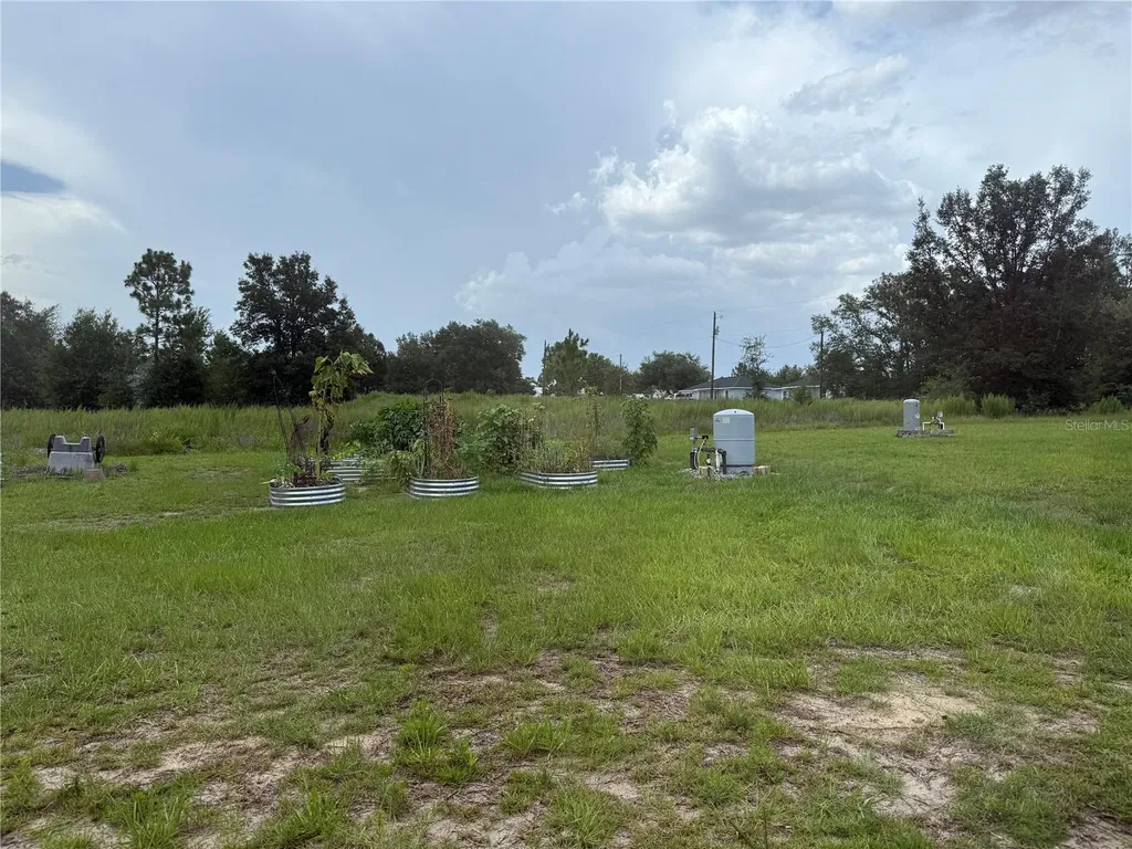 10195 SW 132nd Avenue Dunnellon FL 34432