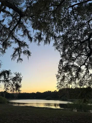 10195 SW 132nd Avenue Dunnellon FL 34432