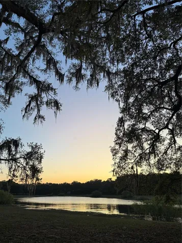 10195 SW 132nd Avenue Dunnellon FL 34432