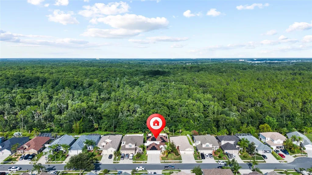 3602 Morgans Bluff Court Land O Lakes FL 34639