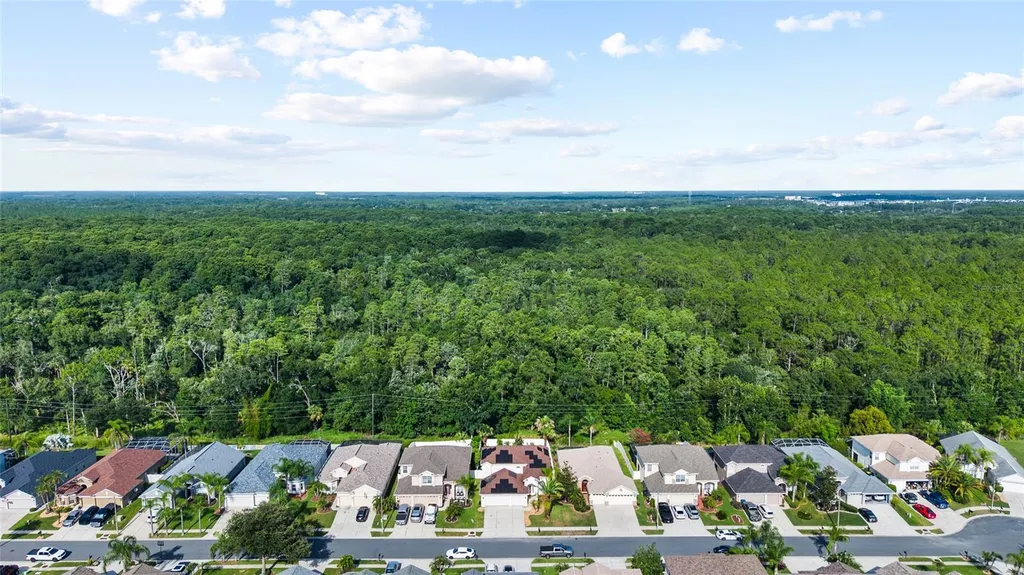 3602 Morgans Bluff Court Land O Lakes FL 34639