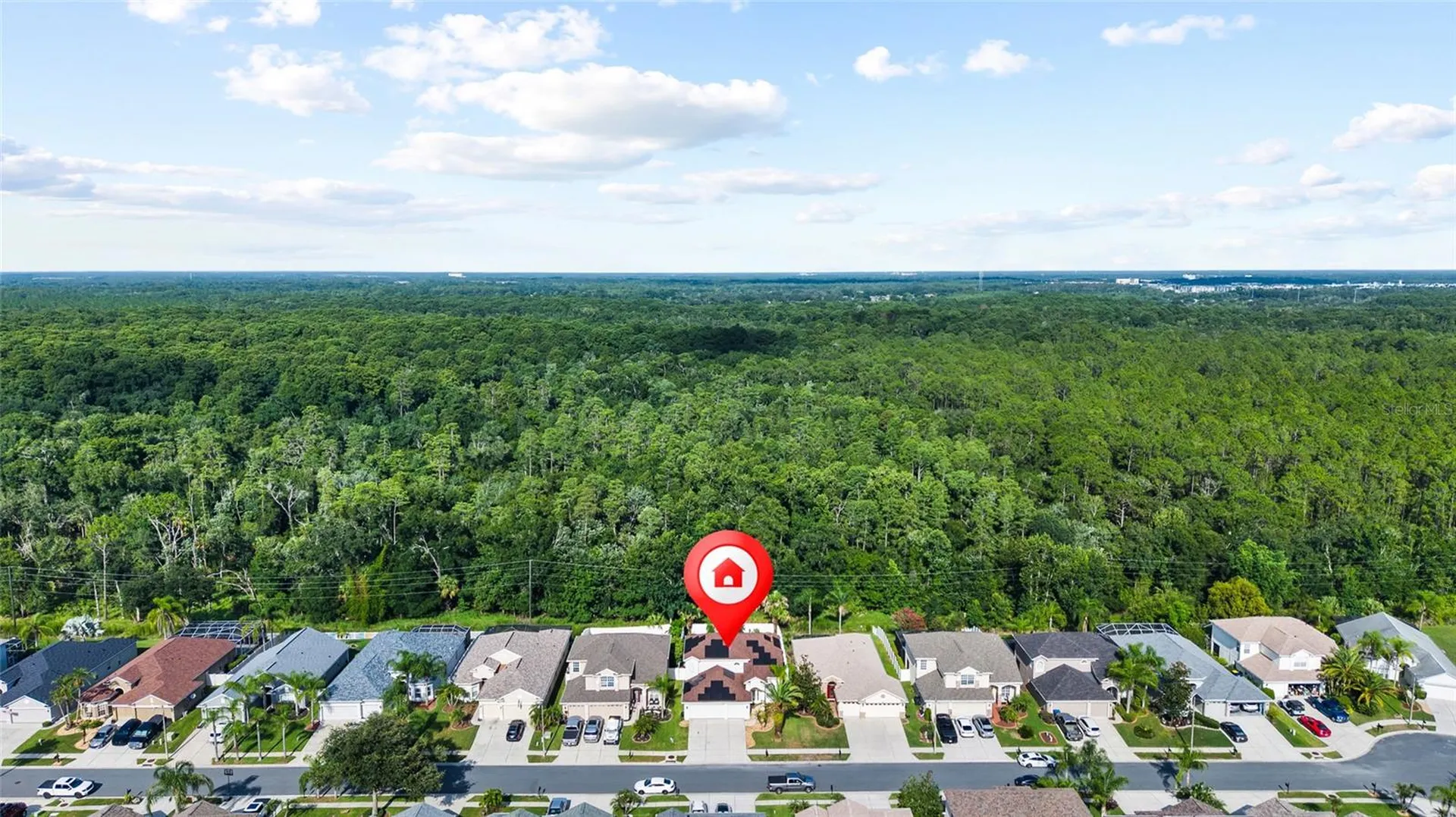 3602 Morgans Bluff Court Land O Lakes FL 34639