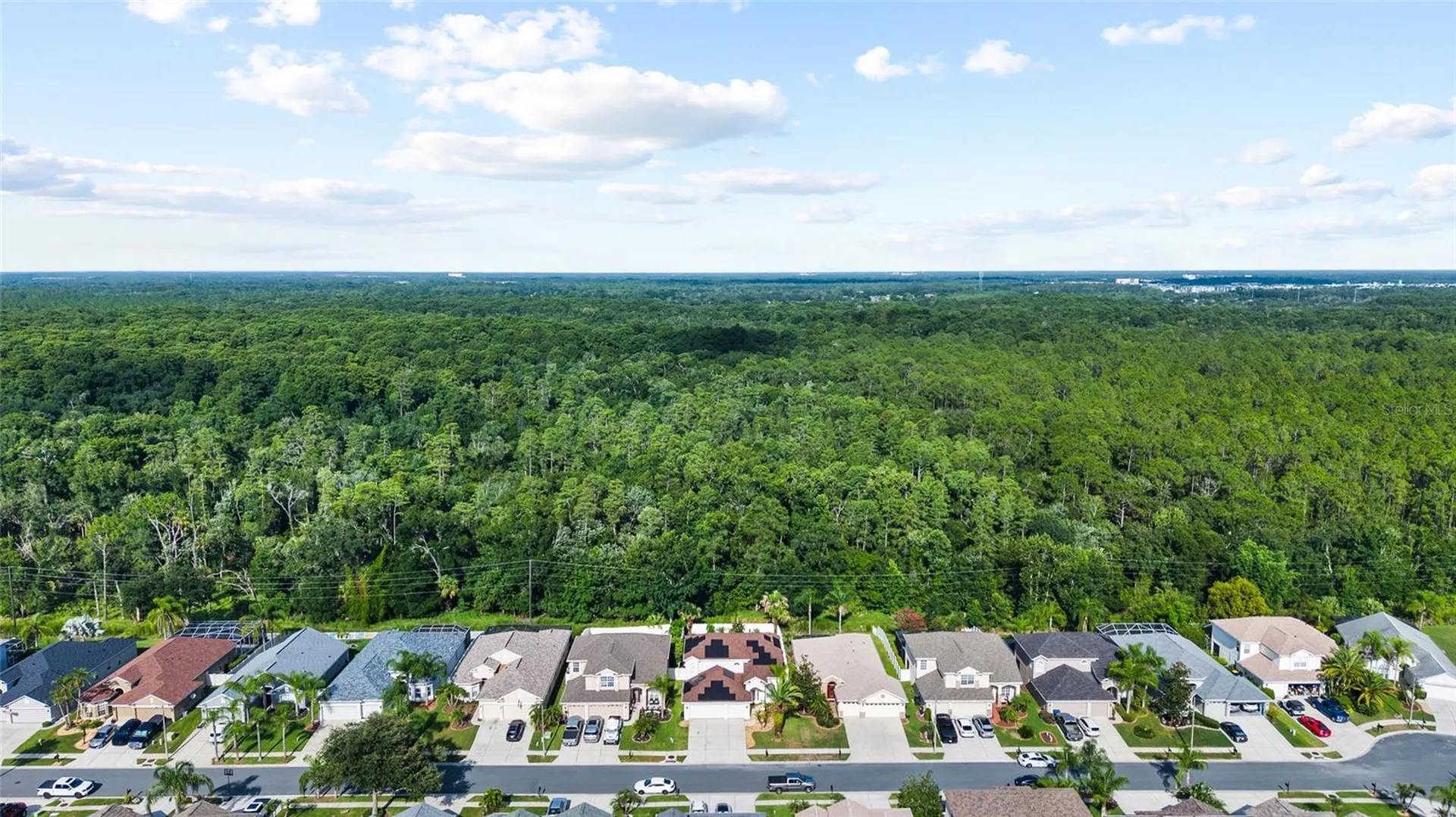 3602 Morgans Bluff Court Land O Lakes FL 34639