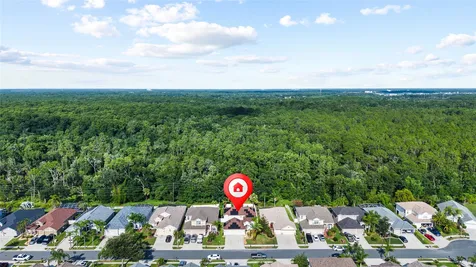 3602 Morgans Bluff Court Land O Lakes FL 34639