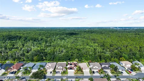 3602 Morgans Bluff Court Land O Lakes FL 34639