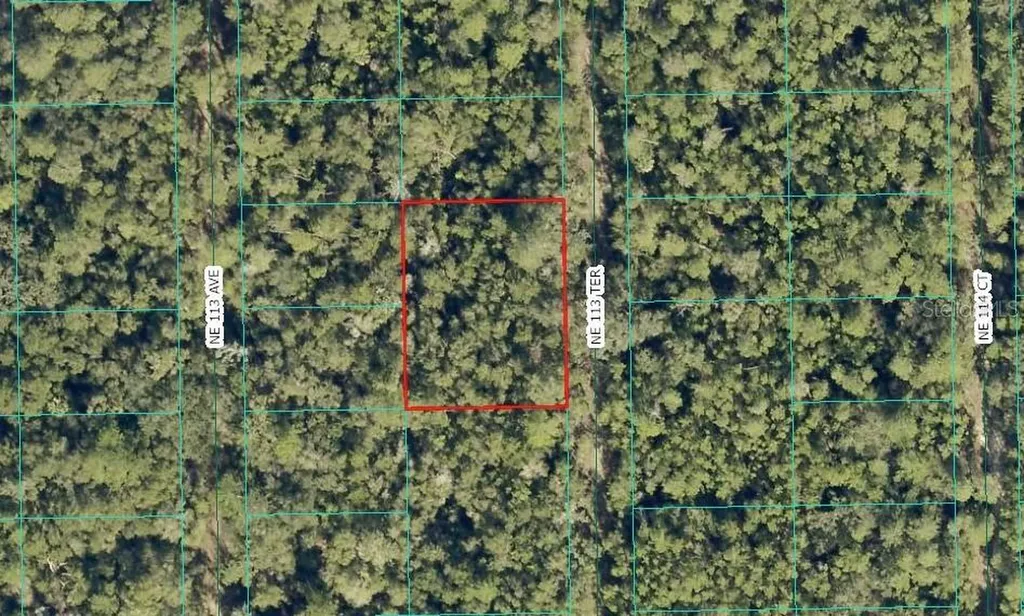 NE 113th Terrace Fort Mc Coy FL 32134