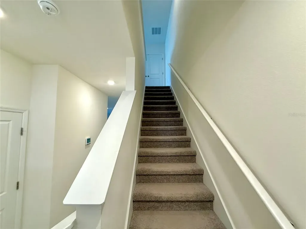 34309 Sorrel Mint Drive Wesley Chapel FL 33543