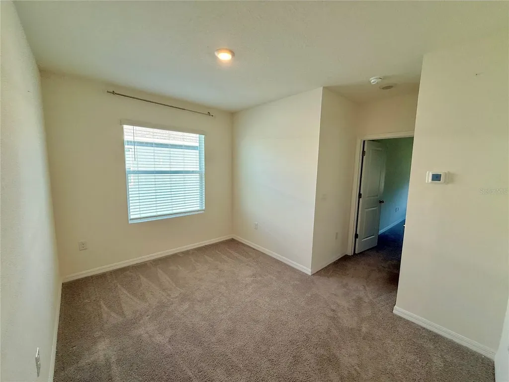 34309 Sorrel Mint Drive Wesley Chapel FL 33543