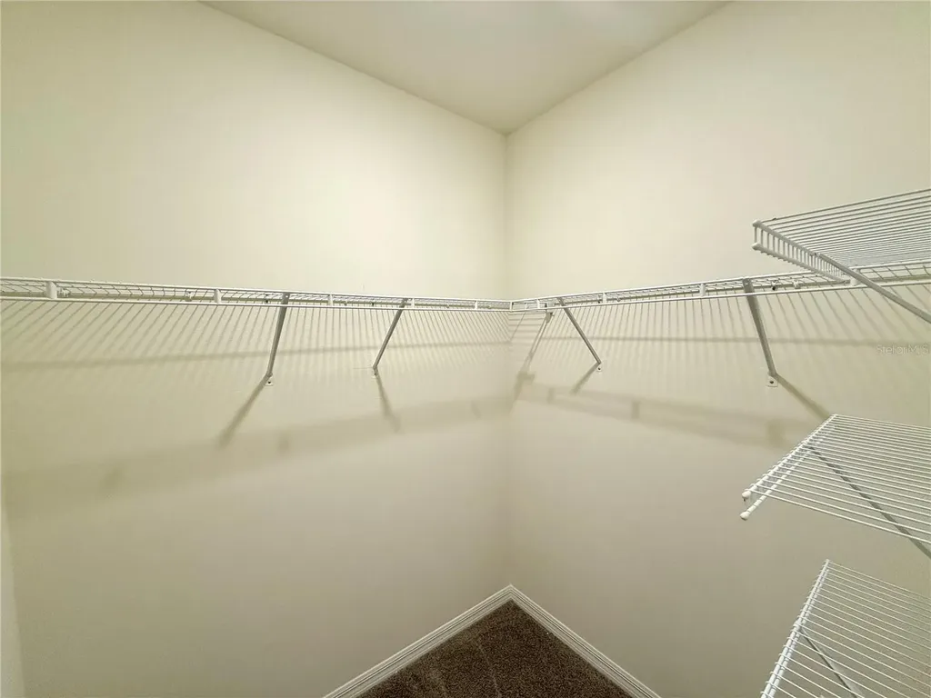 34309 Sorrel Mint Drive Wesley Chapel FL 33543