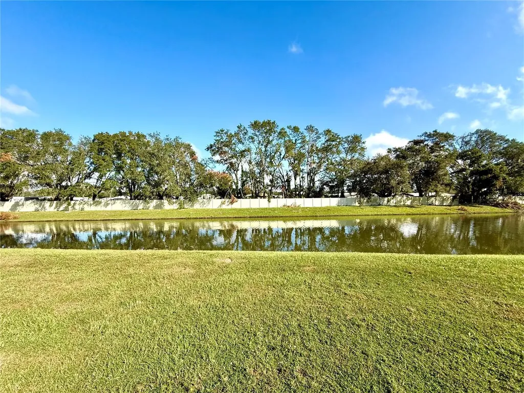 34309 Sorrel Mint Drive Wesley Chapel FL 33543