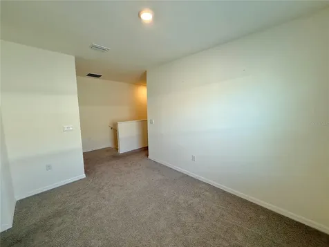 34309 Sorrel Mint Drive Wesley Chapel FL 33543
