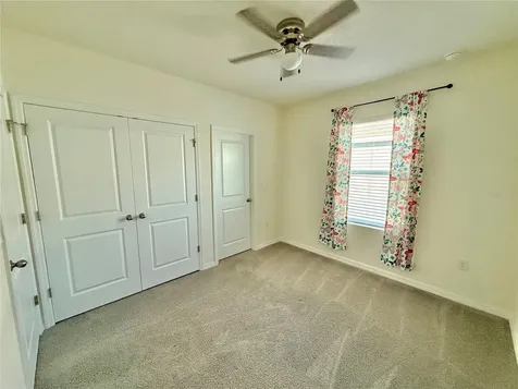 34309 Sorrel Mint Drive Wesley Chapel FL 33543