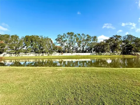 34309 Sorrel Mint Drive Wesley Chapel FL 33543