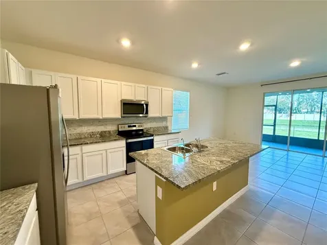 34309 Sorrel Mint Drive Wesley Chapel FL 33543