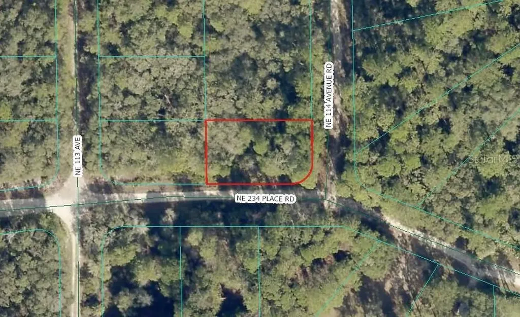 NE 234th Place Fort Mc Coy FL 32134